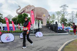 BIB: 
                            <button type="button" onclick="openModal(26528251)" class="btn btn-primary btn-sm float-right btn-popup" data-toggle="modal" data-target=".modal-high-quality">
                        <i class="fas fa-shopping-cart"></i> Add to Cart
                    </button>
                                            <button type="button" onclick="isThisMe(26528251, true)" class="btn btn-success btn-sm float-right btn-popup btn-isme hidden" data-toggle="tooltip" data-placement="bottom" title="นี่คือรูปของคุณใช่ไหม คลิกที่นี่เพื่อเอาเข้าอัลบั้ม">
                        <i class="fas fa-plus"></i> Add to album
                    </button>
                    <button type="button" onclick="isThisMe(26528251, false)" class="btn btn-warning btn-sm float-right btn-popup btn-isnotme hidden">
                        <i class="fas fa-ban"></i> Remove from album
                    </button>